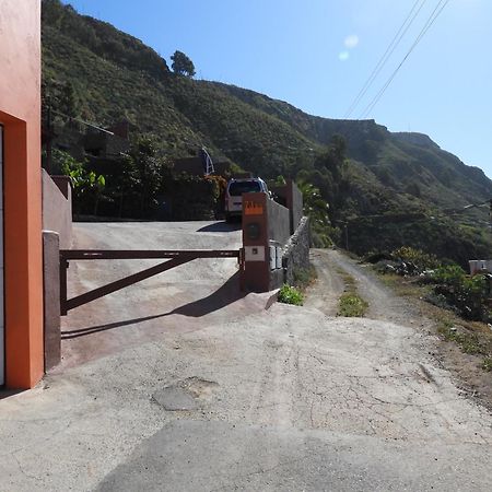 Tonono'S Village Santa Maria de Guia de Gran Canaria Kültér fotó