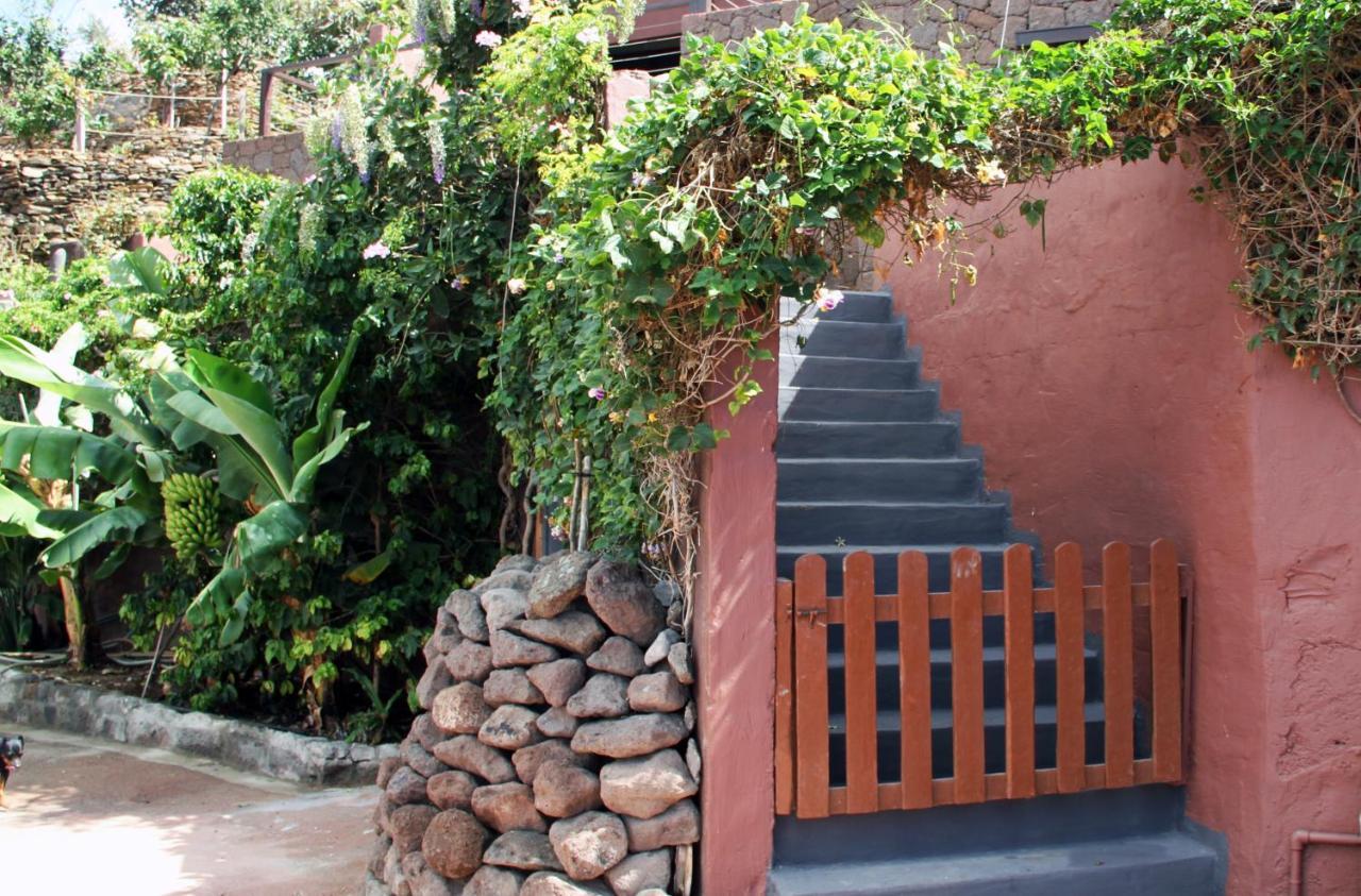 Tonono'S Village Santa Maria de Guia de Gran Canaria Kültér fotó