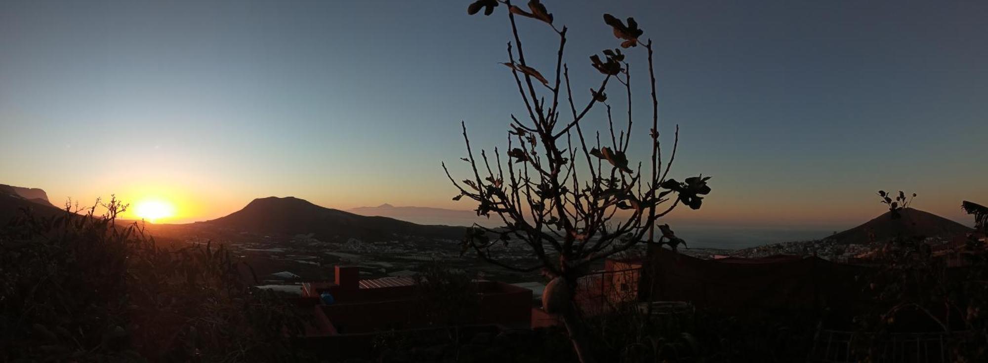 Tonono'S Village Santa Maria de Guia de Gran Canaria Kültér fotó