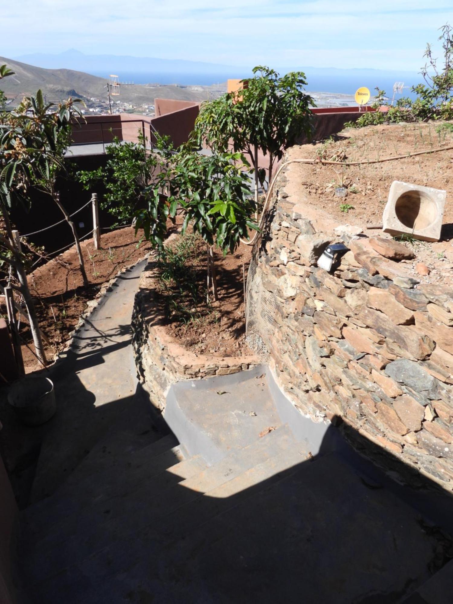 Tonono'S Village Santa Maria de Guia de Gran Canaria Kültér fotó